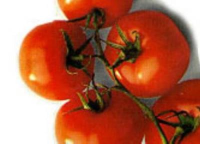 !!!گوجه فرنگی عجب چیزیه