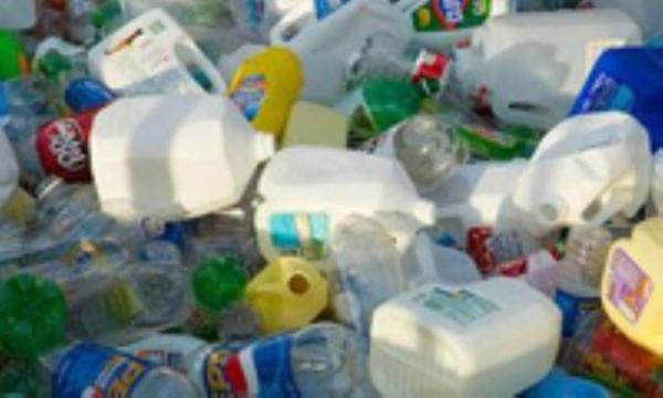 بهره گیری علمی نوجوان ها از کرم جهت تجزیه زباله پلاستیکی ، 2