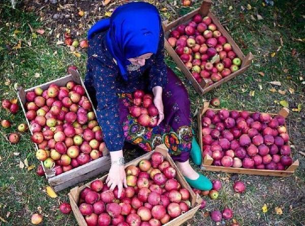 پروانه گردشگری کشاورزی در چهار شهر آذربایجان شرقی صادر شد